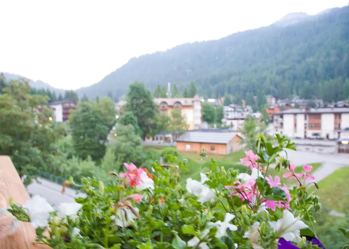 Hotel Chalet Del Brenta